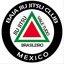 Baja bjj logo